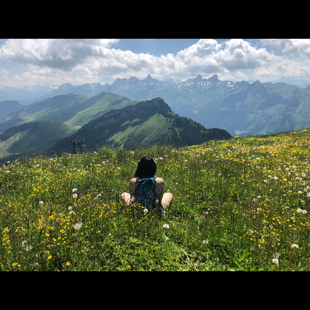 Meet your Posher, Anne